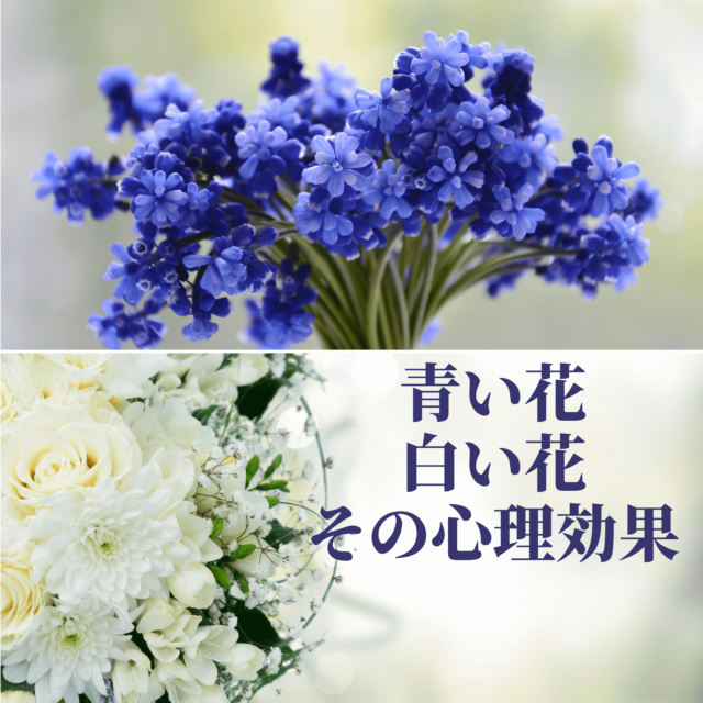 青い花 白い花 その心理効果 Eririncolor