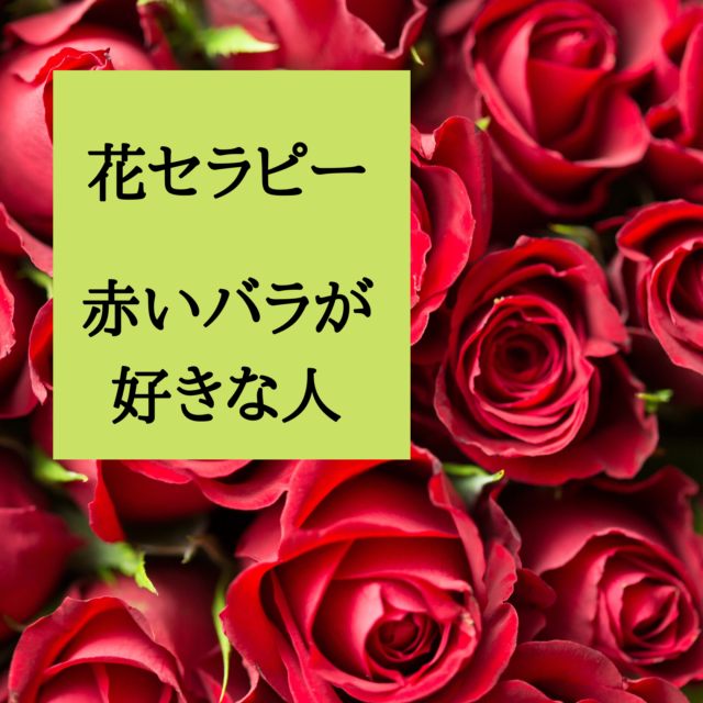 花セラピー 赤いバラが好きな人 Eririncolor